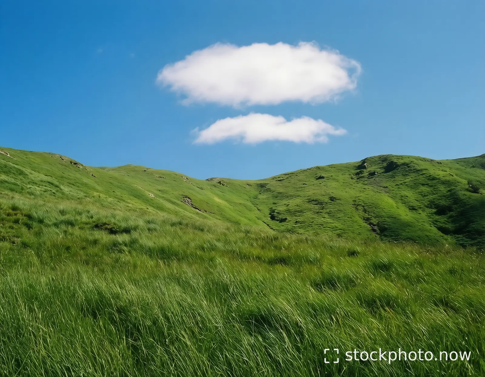 AI-generated image based on the creator’s brief: A calm mountain green grassescover it .Blue sky on above cleary just one two.