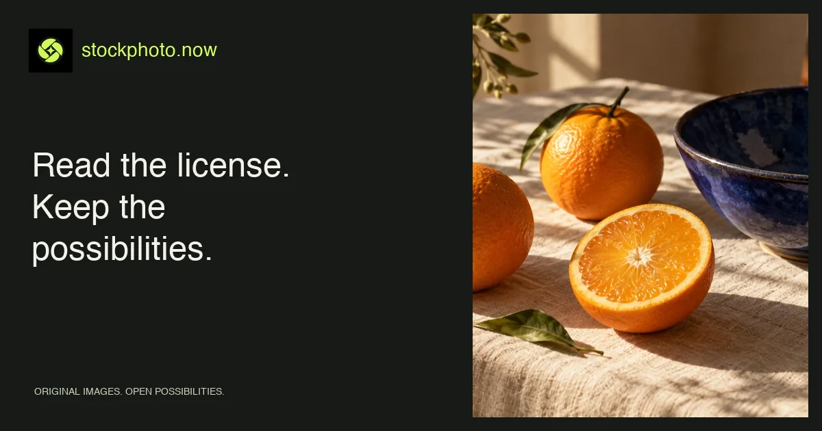 Read the license. Keep the possibilities. — Stockphoto.now visual guide