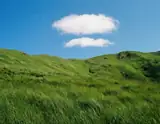 AI-generated image based on the creator’s brief: A calm mountain green grassescover it .Blue sky on above cleary just one two.