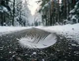 A delicate white feather lying on a dark road bordered by snow-covered trees