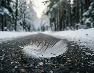 A delicate white feather lying on a dark road bordered by snow-covered trees